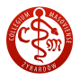 cm